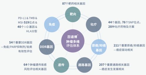 臻和科技完成超十億元E輪融資,將進(jìn)一步推動(dòng)腫瘤診斷產(chǎn)品研發(fā)