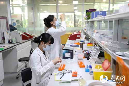 行進(jìn)中國(guó) 丨調(diào)研行海南的三張新 名片