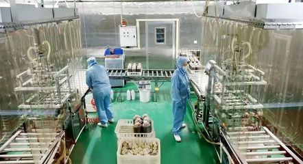 道真:“鏈”上助推工業(yè)振興