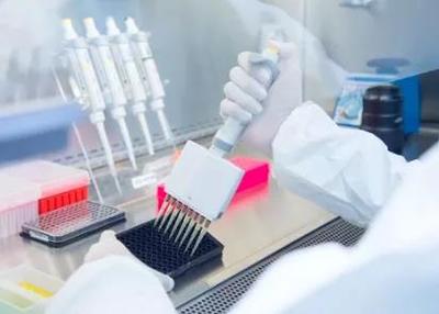科克大學(xué)新開設(shè)課程:制藥和生物制藥工程碩士!