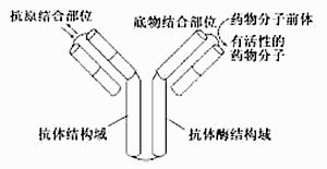 南洋東華公司研發了兩種石油降解產品bdb n生物降解菌 厭氧型 和bdb a生物降解菌 好氧型 ,降解菌是通過產生酶對石油進行分解的 如圖為不同條件下,某種降解菌對某湖泊污泥中石油分解能力的測定結果