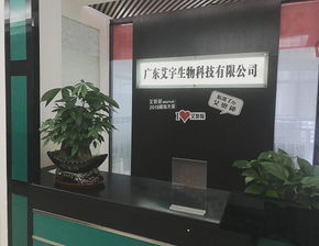 一家高科技的艾宇公司,一個艾奧秘品牌,揭開一個創新項目快速崛起的奧秘